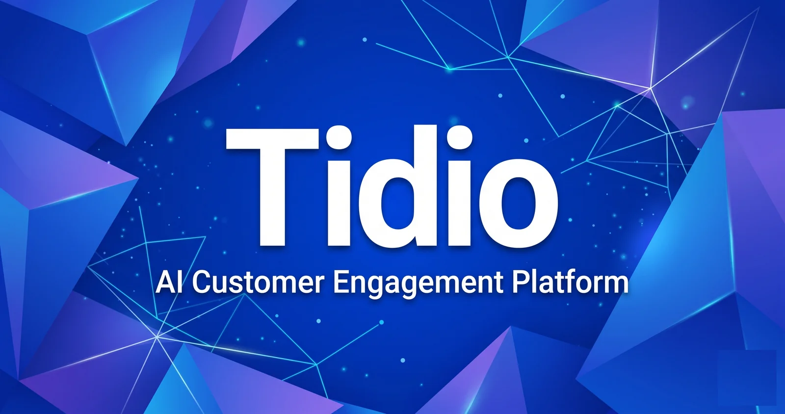 Tidio homepage